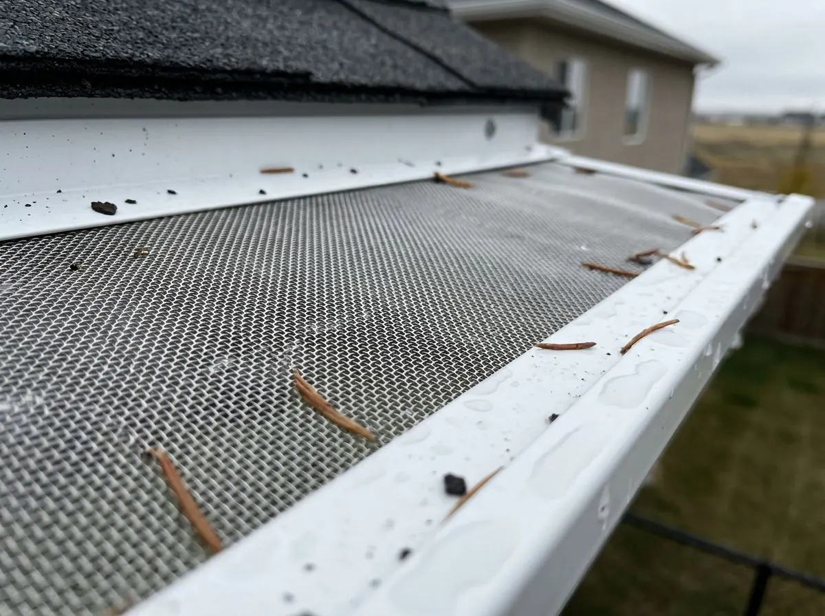 Close-up of fine stainless steel micro-mesh in a white aluminum frame covering an eavestrough after rain, with spruce needles and shingle granules resting on the wet surface.